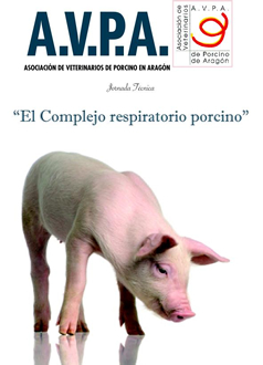 Ampliar Imagen