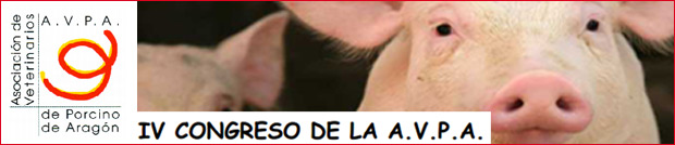 4congresoAVPA