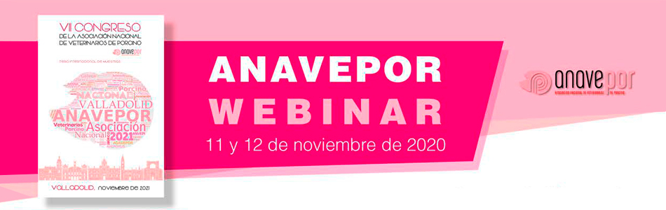 cabecera-anavepor-2020