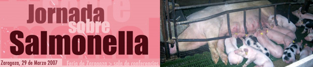 jornada_salmonela