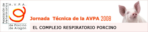 jornada_tec_AVPA2008