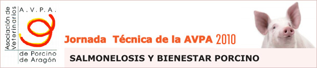 jornada_tec_AVPA2010