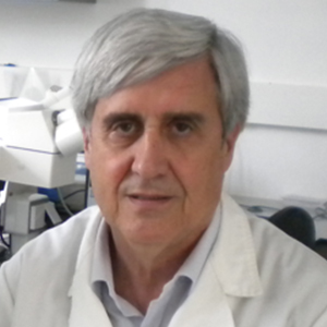 JUAN JOSÉ BADIOLA DÍEZ